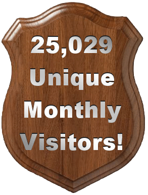 25,029 Unique Visitors in the Last 30 Days! post image