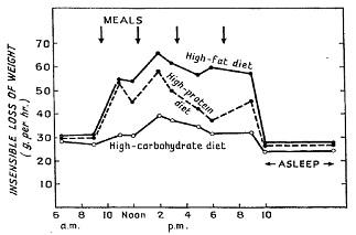 A Calorie, is not a Calorie, is not a Calorie! post image