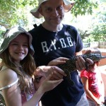 Baby Crocodiles at the Crocodile Centre in St Lucius