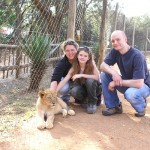 Lion Cubs at Lion Park, Johannesburg